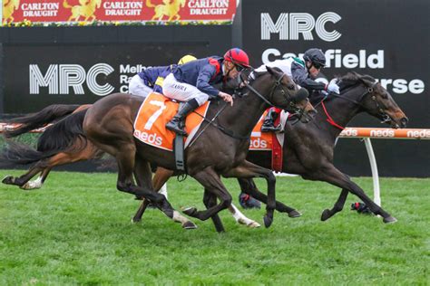 pb lawrence stakes odds|PB Lawrence Stakes Odds, Tips, Field, Betting and Results.